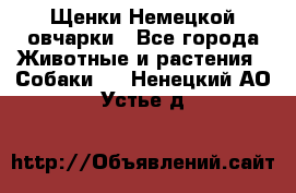 Щенки Немецкой овчарки - Все города Животные и растения » Собаки   . Ненецкий АО,Устье д.